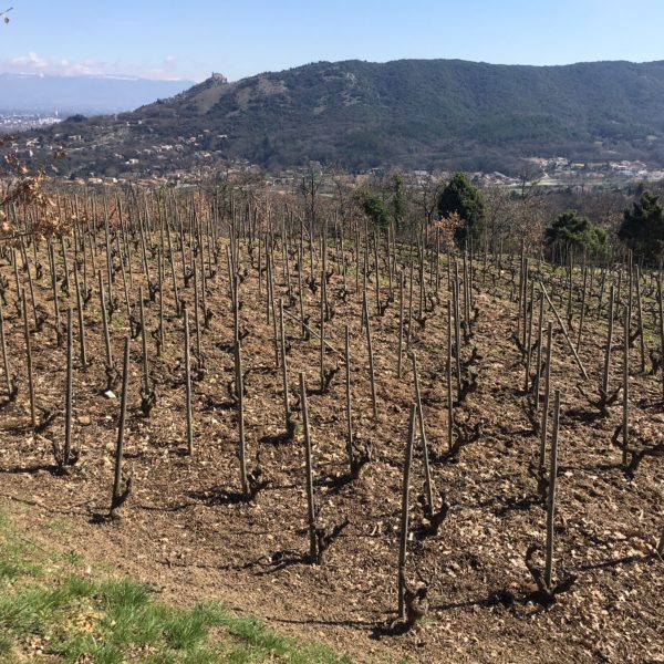 Le Château du Besset vous propose un Séjour oenologie : découverte du  Domaine du Tunnel à Saint-Péray : Vacances en Ardèche, Dormir dans un  château Art de vivre